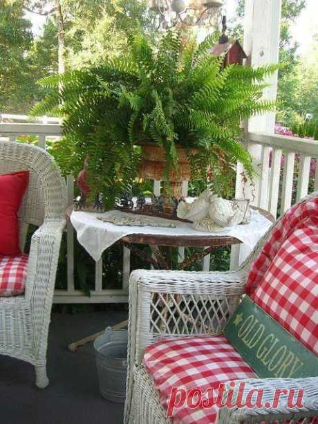 (6) Garden and decor