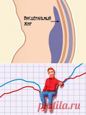 Лишний вес – уже серьезная угроза Вашему здоровью. — Всегда в форме!