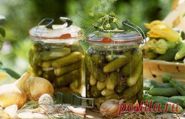 СЛАДКИЕ МАРИНОВАННЫЕ ОГУРЧИКИ / Необычные поделки