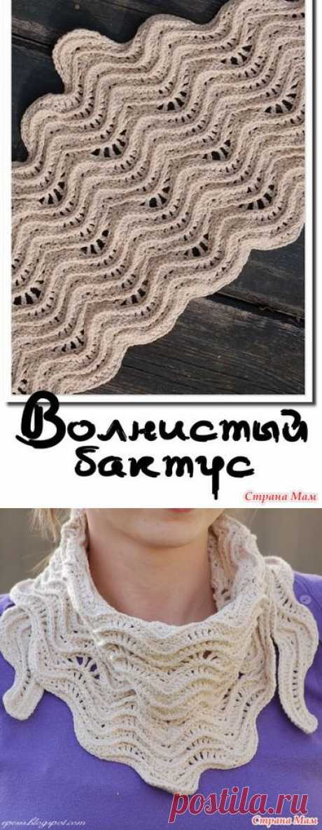 Волнистый бактус от Эпес