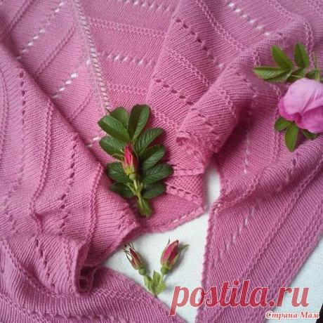 Для мастериц, которые вяжут шали, платки спицами — варианты разных моделей | Ирина СНежная & Вязание | Дзен