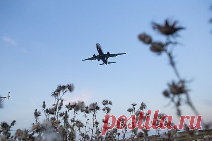 Стала известна судьба брошенной сыном в Мехико 73-летней россиянки. Россиянка Валентина Котова, брошенная сыном и его женой на пороге консульства в Мехико, вернулась в Москву. «Можем подтвердить, что она пересекла сегодня, в 9:00, границу России в аэропорту Домодедово, — рассказали в МИД РФ. — Дежурный консул в Домодедово оказал все необходимое содействие».