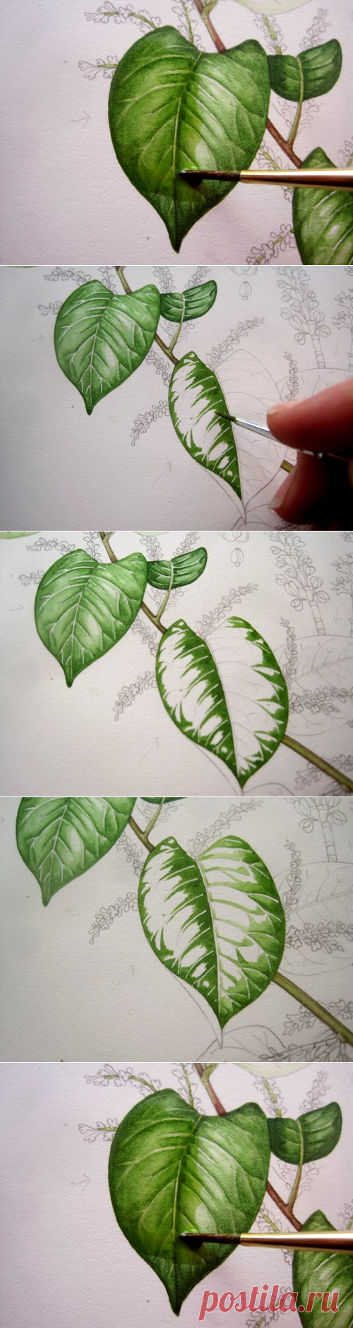 Рисуем листья — Сделай сам, идеи для творчества - DIY Ideas