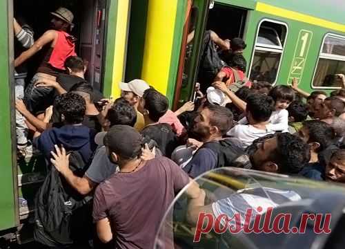 Показные европейские толерантность и мультикультурализм уходят в прошлое