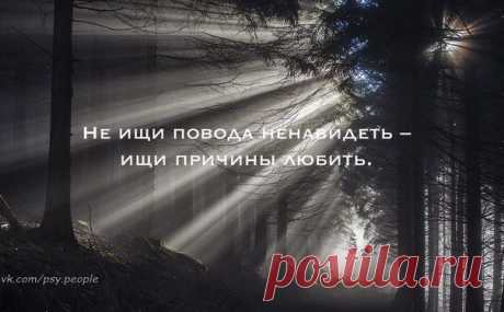 Фотографии на стене сообщества | 32 809 фотографий | ВКонтакте