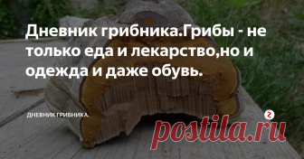 Дневник грибника.Грибы - не только еда и лекарство,но и одежда и даже обувь. налажено производство  предметов одежды из грибов – трутовиков. В дело использовался трутовик настоящий(   Fomes fomentarius) -широко распространенный вид грибов.