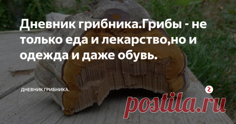 Дневник грибника.Грибы - не только еда и лекарство,но и одежда и даже обувь. налажено производство предметов одежды из грибов – трутовиков. В дело использовался трутовик настоящий( Fomes fomentarius) -широко распространенный вид грибов.
