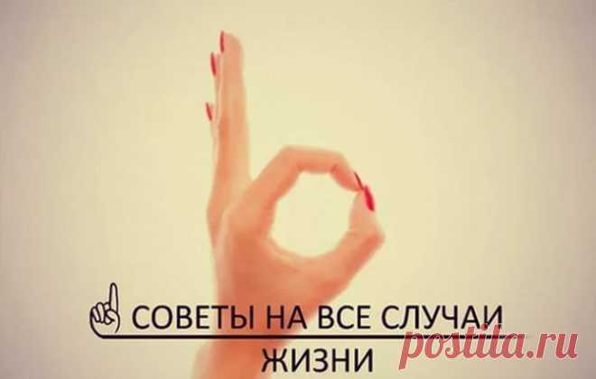 Простые советы на все случаи жизни. | Colors.life