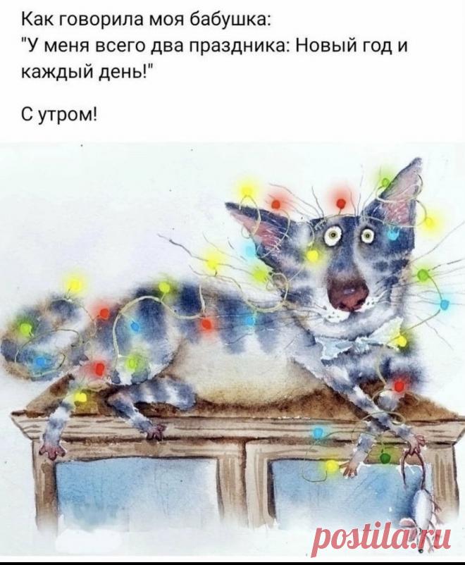 Выпуск №6754 - выпуск анекдотов сайта вокруг смеха