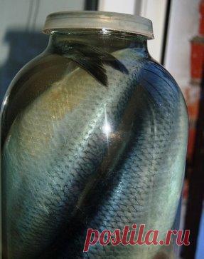 Сельдь малосольная.
1 кг сельди свежей 
0,5 литра воды 
2 столовые ложки соли 
1 столовая ложка сахара 
Лавровый лист и 5 горошков черного перца
Готовим рассол
Добавляем в воду сахар и соль , ставим на плиту и доводим до кипения. В кипящую воду добавляем горошки перца и лавровый лист. Снимаем с плиты и остужаем рассол до комнатной температуры. 
 Укладываем рыбу в банку и заливаем рассолом. Ставим в холодильник от 2 -7 дней для засолки. Если вы любите малосольную рыбу – достаточно 3 дней, чем