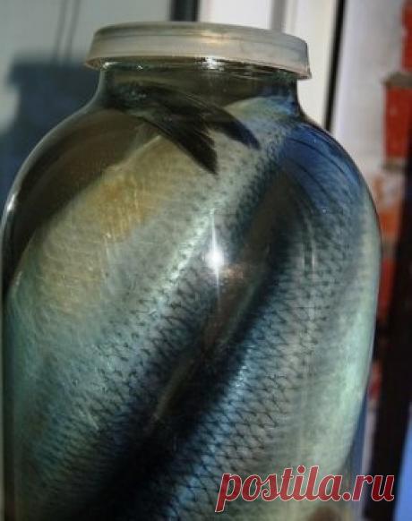 Сельдь малосольная.