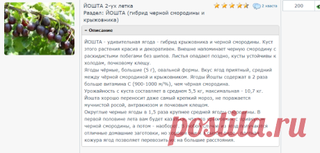 Личный кабинет