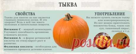 Тыква - полезные свойства