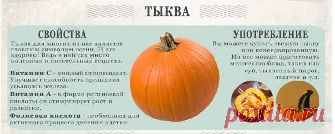 Тыква - полезные свойства