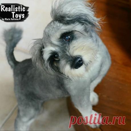 Нереально реальные животные