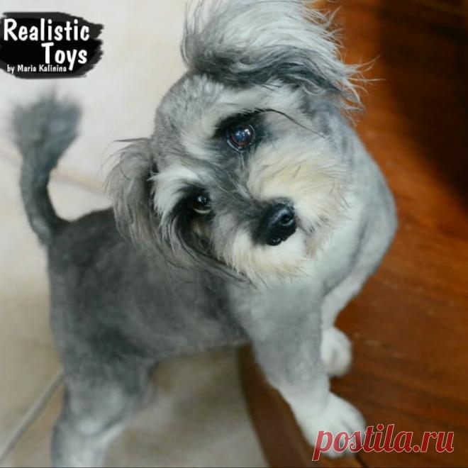 Нереально реальные животные