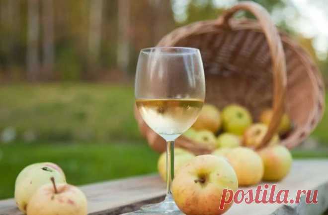 Как сделать домашнее вино из самых обычных яблок - простой рецепт вкусного напитка | Рекомендательная система Пульс Mail.ru