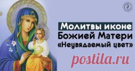 Молитвы иконе Божией Матери «Неувядаемый цвет»
