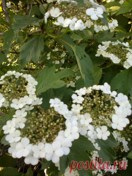 весеннее настроение