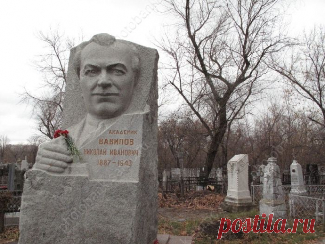Кликабол. Всё самое интересное - здесь
