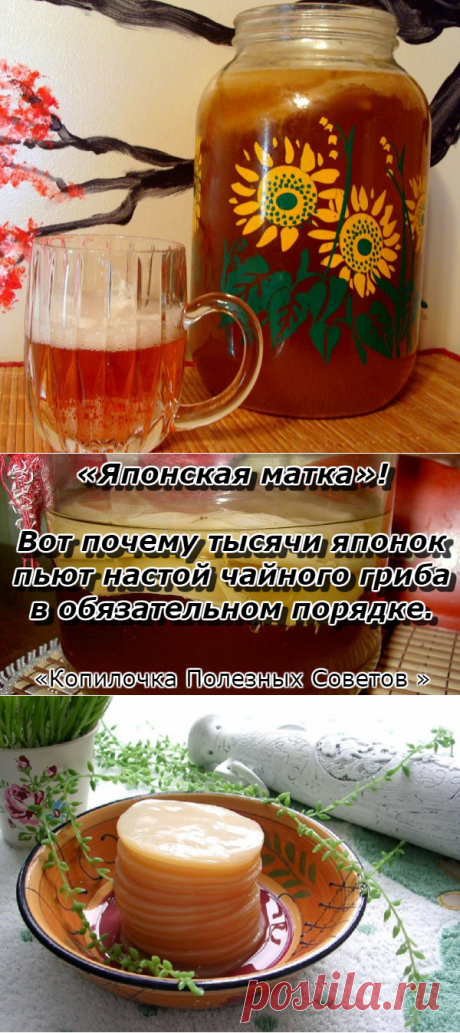 «Японская матка»! Вот почему тысячи японок пьют настой чайного гриба в обязательном порядке. — Копилочка полезных советов