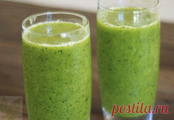 Wall | VK
Капуста кале полезна:
☀ для восполнения дефицита белка в вегетарианском питании
☀ для устранения недостатка кальция
☀ как источник антиоксидантов
☀ для сохранения зрения
☀ в качестве общеукрепляющего средства
☀ как низкокалорийный диетический продукт