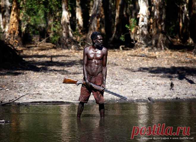15 фотографий истинных детей природы. Полуостров Арнем-Ленд (Arnhem Land) – одна из самых неосвоенных человеком северных территорий Австралии. Но подразумевается, естественно, что не изучена она лишь белым человеком. И это, конечно же, оказывает благотворное влияние на природу этих мест. Австралийские #аборигены, фактически чернокожие, знают эти земли как свои пять пальцев и ведут примерно такой же образ жизни, что и их древние предки много тысяч лет назад.