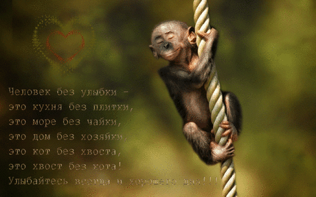 Мир анимации