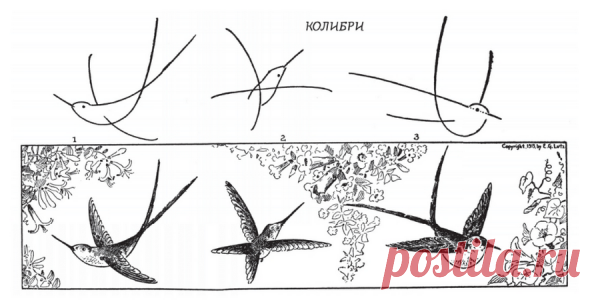 Что нужно, чтобы начать рисовать?