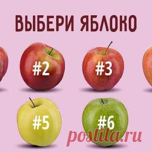 Тест на 1 минуту — 100 %-процентное попадание в яблочко - МирТесен
