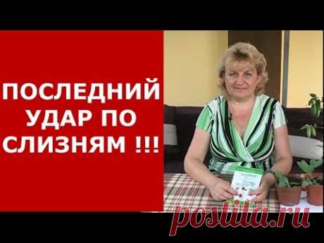 СЛИЗНИ -  ПОСЛЕДНИЙ УДАР ! СУПЕР СРЕДСТВО!!!