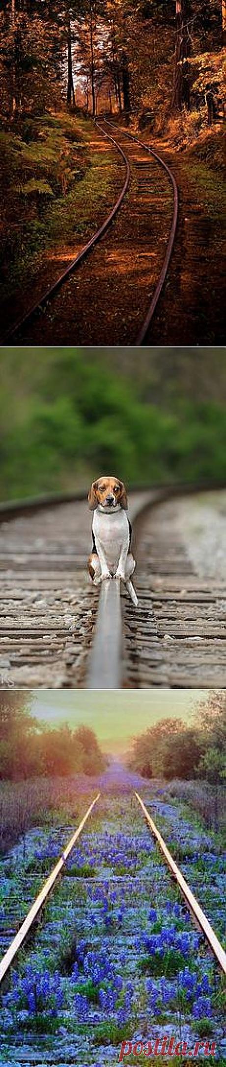 Pinterest
