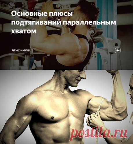 Основные плюсы подтягиваний параллельным хватом | fitnechannel | Яндекс Дзен