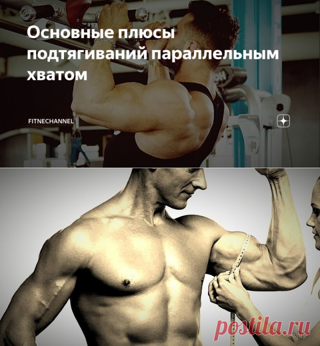 Основные плюсы подтягиваний параллельным хватом | fitnechannel | Яндекс Дзен