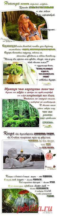 (1) Одноклассники