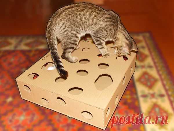 Игрушка для кота из картона