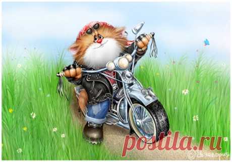 Коты Алексея Довлатова