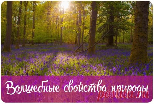 Волшебные свойства природы — Эзотерика, психология, философия