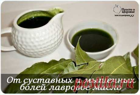От суставных и мышечных болей поможет лавровое масло | Женский журнал