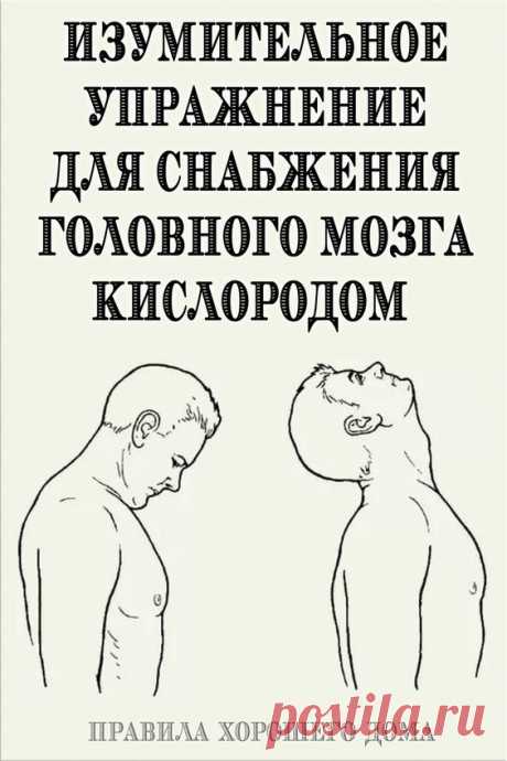Изумительное упражнение для снабжения головного мозга кислородом и питательными веществами