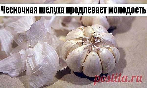 Чесночная шелуха продлевает молодость.

Белую шелуху от чеснока не выбрасывайте когда вы его чистите. А собирайте её и храните. Это ценнейшее средство для продления молодости. Для этого каждый месяц надо пить напиток, приготовленный из белой шелухи чеснока. 

* Приготовление.
- Взять горсть шелухи чеснока. 
- Вскипятить чайник и подождать от 1 до 3 минут, и только потом залить  шелуху стаканом кипятка. 
- Нельзя ни в коем случае пить горячий или даже слегка теплый напиток....