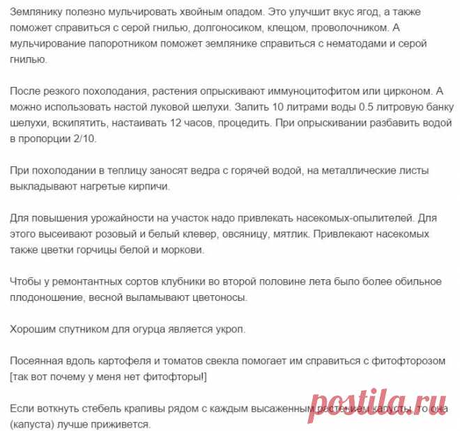 Gallery.ru / Фото #53 - Полезные советы - Engelis