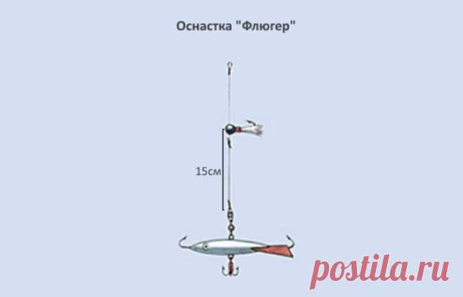 Рыболовная хитрость, которая поможет выловить не один десяток окуней на зимней рыбалке,