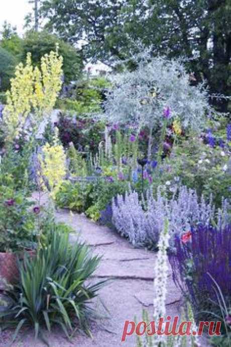 Explore "garden edging ideas" on Pinterest. | See more ideas about garden edging, cheap garden edging ideas, creative garden edging ideas, timber garden edging ideas,
