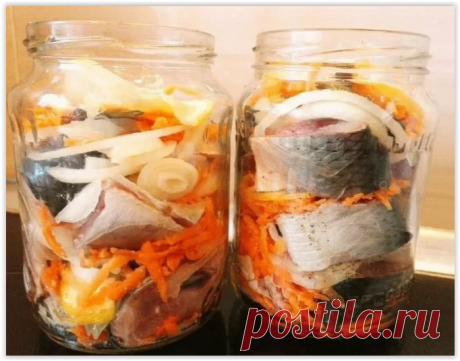 Селёдка по-голландски в банке: уже не раз готовлю эту вкусноту, но всегда мало получается!