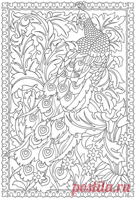 (24) Welcome to Dover Publications | Diy Colouring-in Fun (could be used for Embroidery as well)