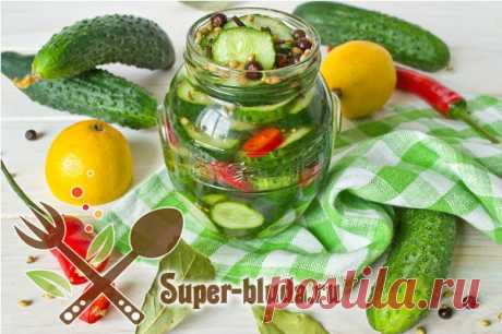 Консервированные огурцы хрустящие рецепт самые вкусные с перцем чили в лимонном маринаде | Заготовки на зиму