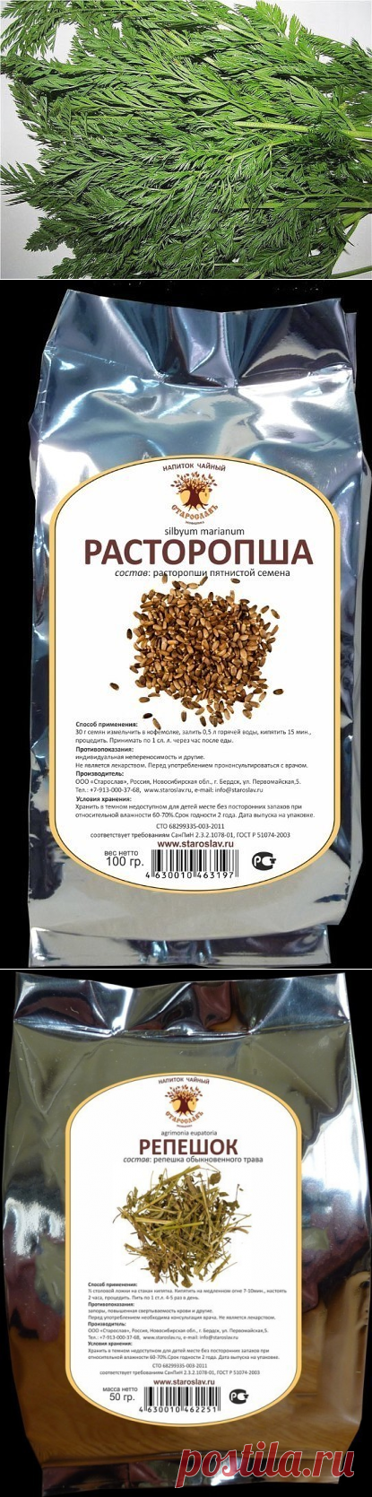 АЗБУКА ЗДОРОВЬЯ.