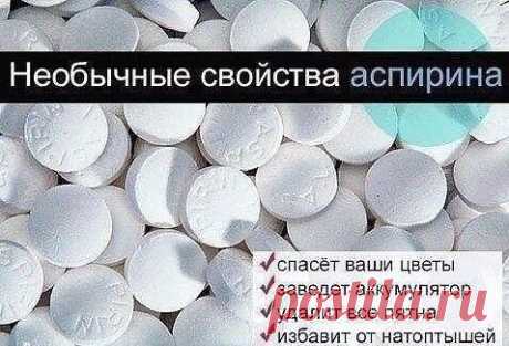 АСПИРИН - НАСТОЯЩЕЕ ЧУДО В ТАБЛЕТКАХ! Применение в быту – 9 УНИКАЛЬНЫХ СОВЕТОВ