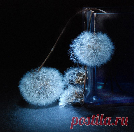 НОЧНОЙ ДОЗОР